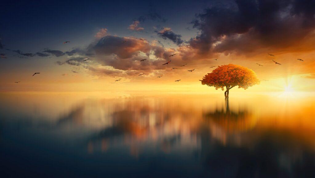 spiritual awakening, image of clouds and a floating tree