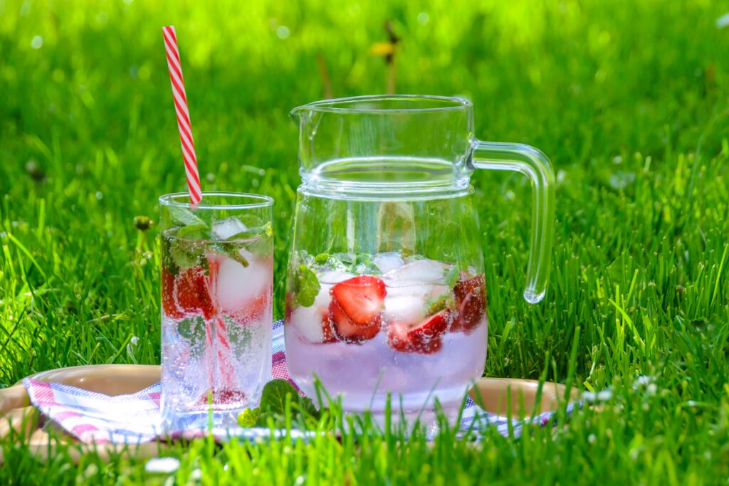 fresh berry fruit water